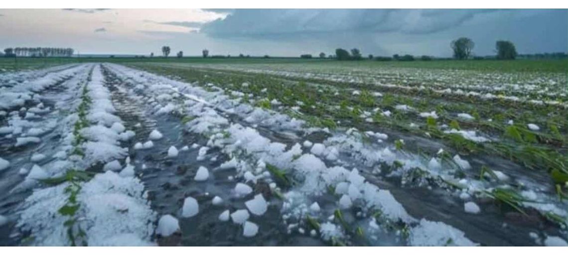 Pomoc dla rolników. Ruszył nabór w ramach pomocy publicznej.