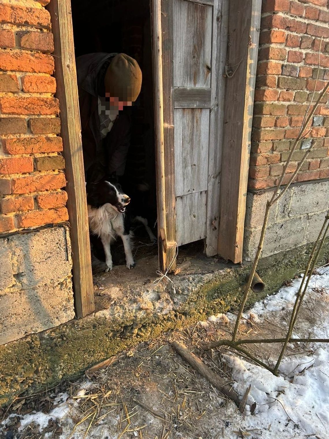 Pomogli policjanci. Bezdomny i jego pies bezpieczni