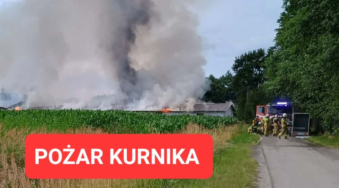 POŻAR! Płonie dach i wnętrze kurnika w Dąbiu POŻAR! Płonie dach i wnętrze kurnika w Dąbiu
