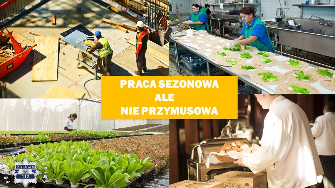 PRACA SEZONOWA, ALE NIE PRZYMUSOWA - policja przestrzega przed oszustwami związanymi z pracą