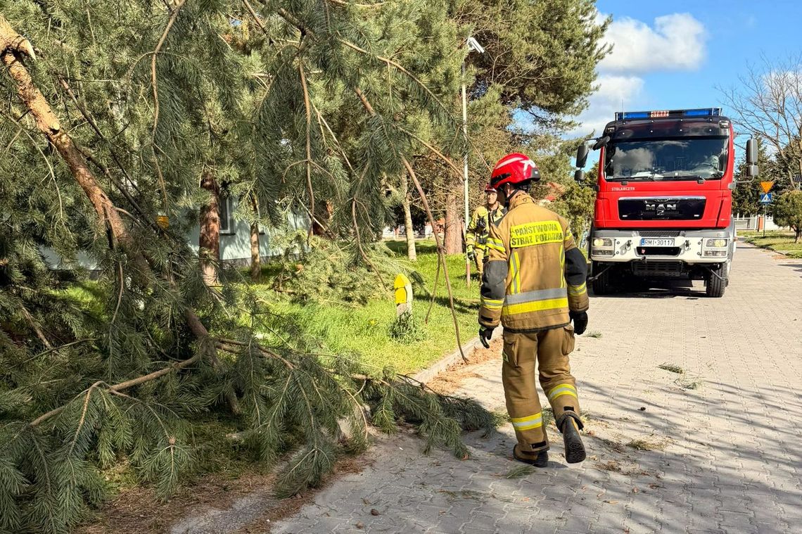 Silny wiatr nad Podkarpaciem. Strażacy interweniowali ponad 90 razy