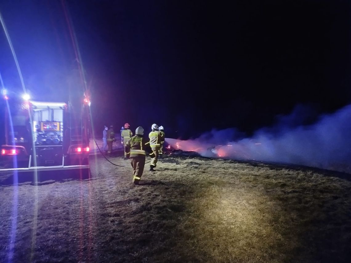 Strażacy od kilku godzin gaszą pożary traw w powiecie