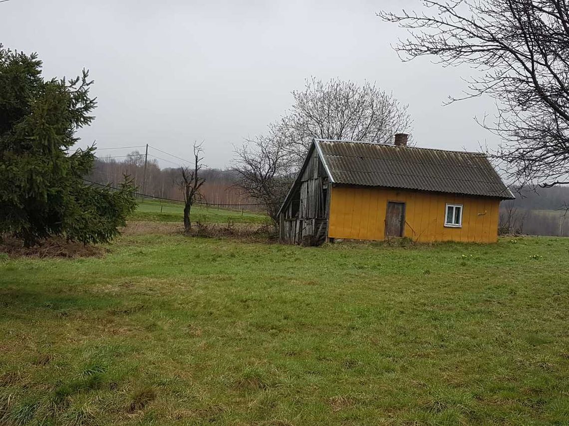 Szczęśliwy finał poszukiwań zaginionej kobiety