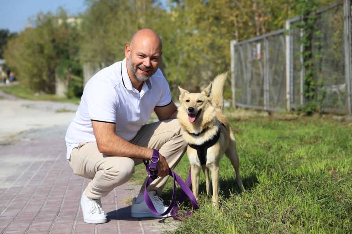 W Mielcu nie będzie podatku od posiadania psów