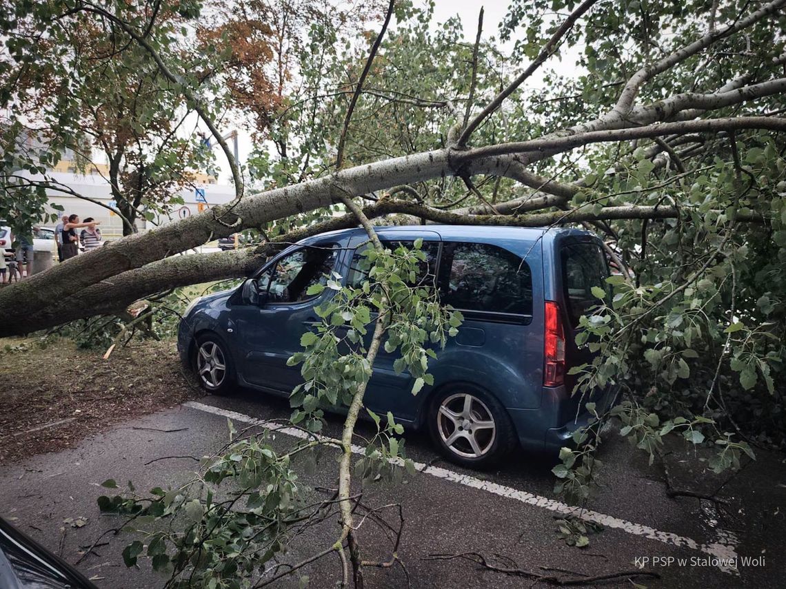 Wiele interwencji straży po burzach na Podkarpaciu Wiele interwencji straży po burzach na Podkarpaciu