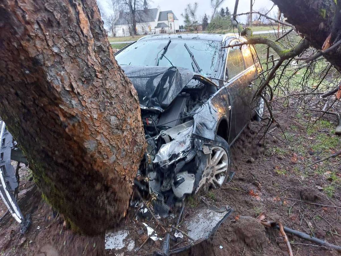 Wjechał w drzewo, był pijany i poszukiwany