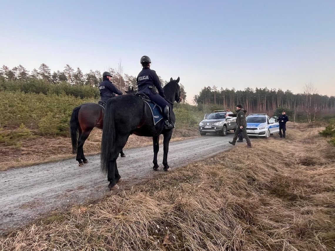 Wspólne działania służb w ramach akcji „STROISZ” – zapobieganie kradzieżom z terenów leśnych Wspólne działania służb w ramach akcji „STROISZ” – zapobieganie kradzieżom z terenów leśnych