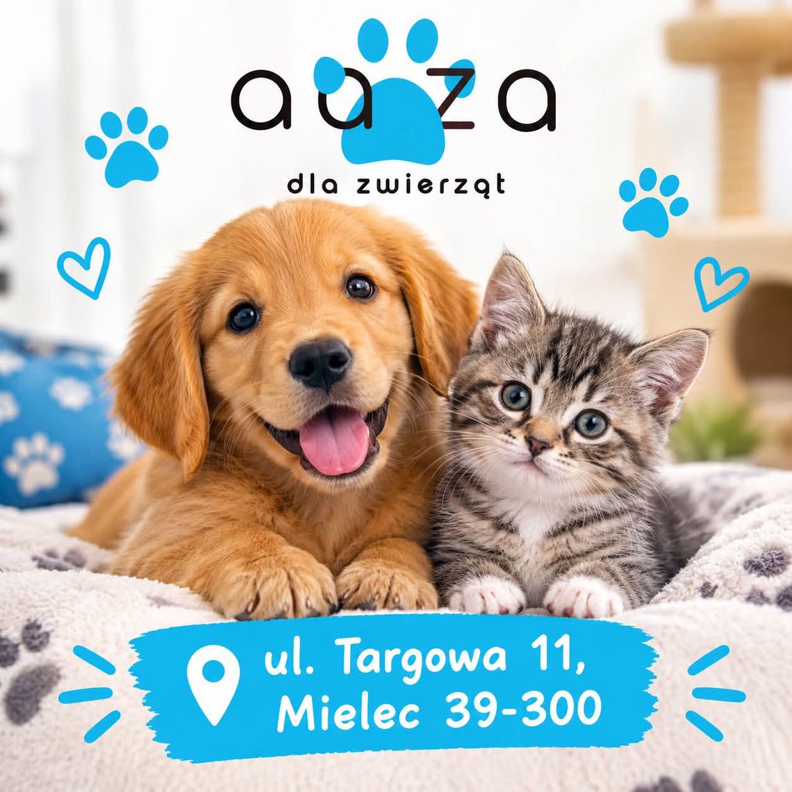 Zabierz do domu lub na spacer Zabierz do domu lub na spacer