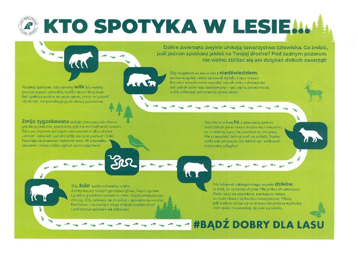 Zachowaj ostrożność. Sygnały mieszkańców o pojawieniu się  wilków