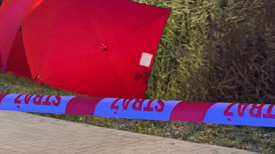 Zwęglone zwłoki mężczyzny odnalezione podczas gaszenia pożaru lasu