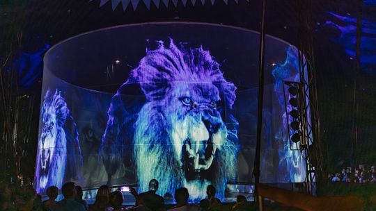Cyrk Wictoria z pokazem hologramów zwierząt w Mielcu!