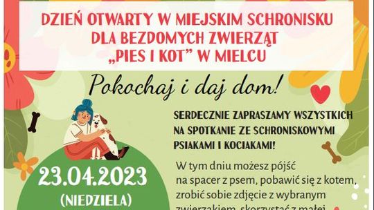 Dzień Otwarty Schroniska "Pies i Kot" dla Bezdomnych Zwierząt