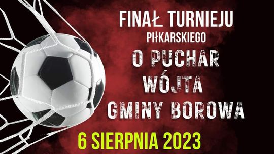 Finał turnieju piłkarskiego "O puchar Wójta Gminy Borowa"
