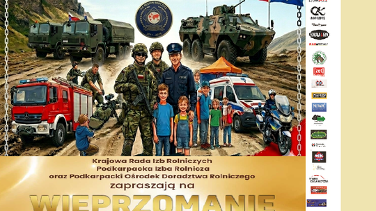IV Charytatywny Piknik Militarny IPA w Ropczycach. Służby mundurowe połączą siły dla Matyldy