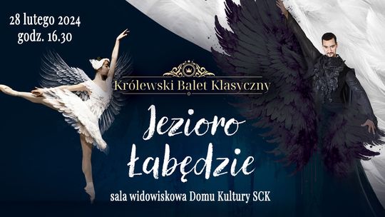 Jezioro łabędzie w Mielcu