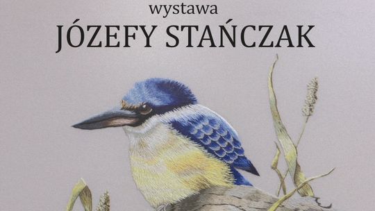 Miejska Biblioteka Publiczna zaprasza na wernisaż wystawy Józefy Stańczak „Muśnięcie natury. Obrazy igłą malowane”