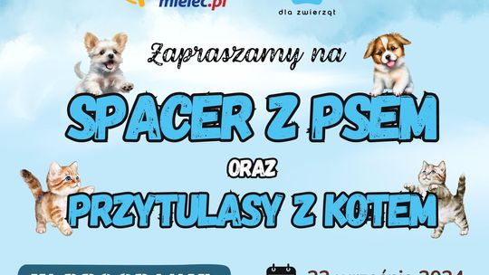 "Spacer z psem oraz przytulasy z kotem". Zapraszamy do schroniska dla zwierząt