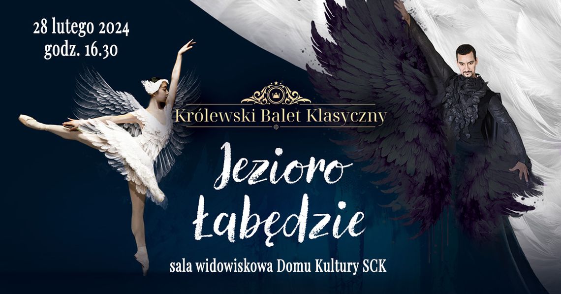 Jezioro łabędzie w Mielcu Jezioro łabędzie w Mielcu