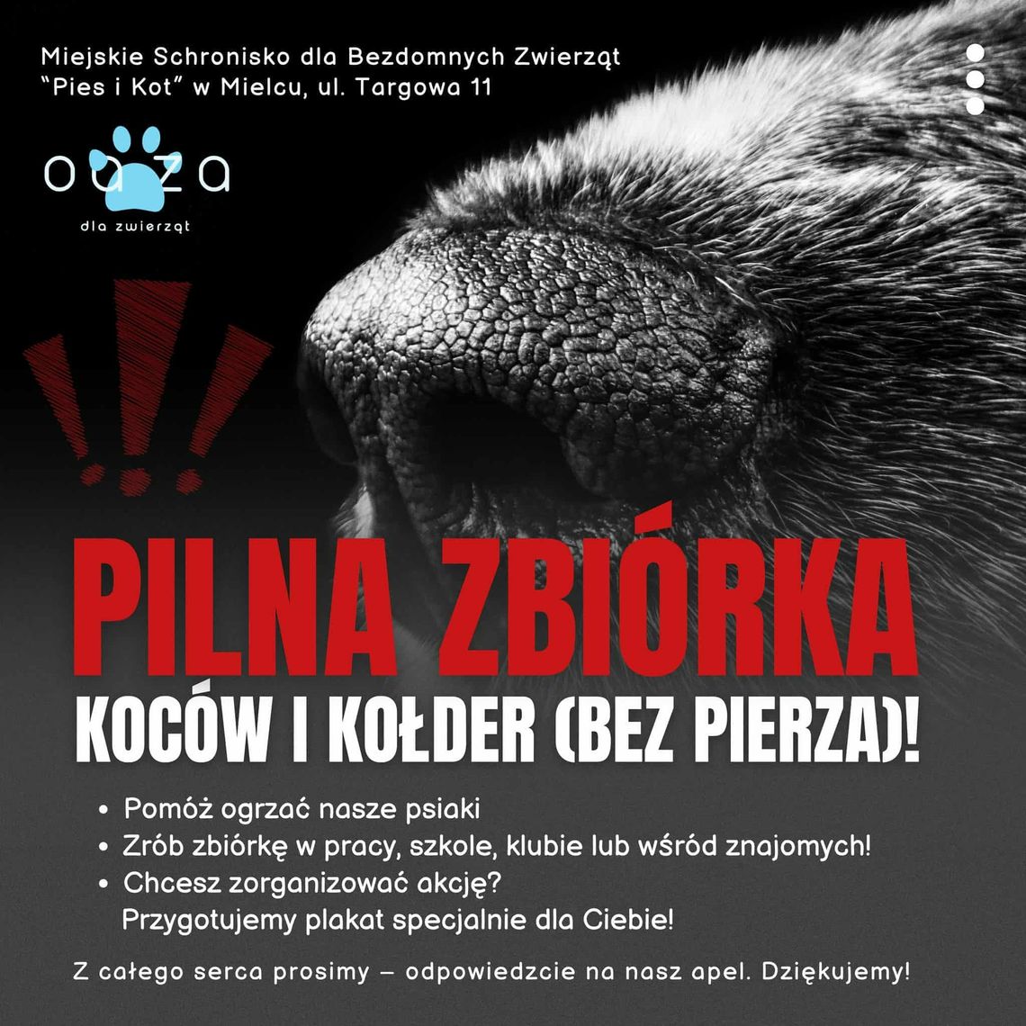 Potrzebują naszej pomocy! Zbiórka rzeczy dla zwierzaków Potrzebują naszej pomocy! Zbiórka rzeczy dla zwierzaków