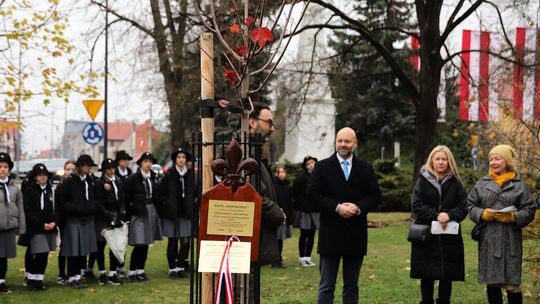 Uroczysta zbiórka harcerska [ZDJĘCIA]
